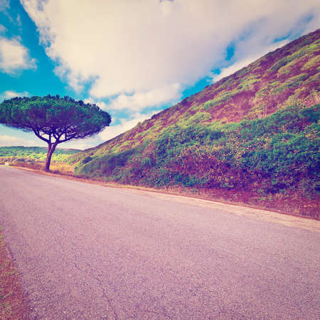 Asphalt Road Leading to Atlantic Coast of Portugalの写真素材