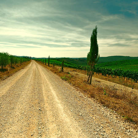 Dirt Road between Hill of Tuscany with Vineyard at Sunset, Vintage Style Toned Pictureの写真素材