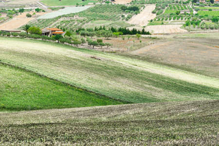Stubble Fields on the Hills of Sicilyの写真素材