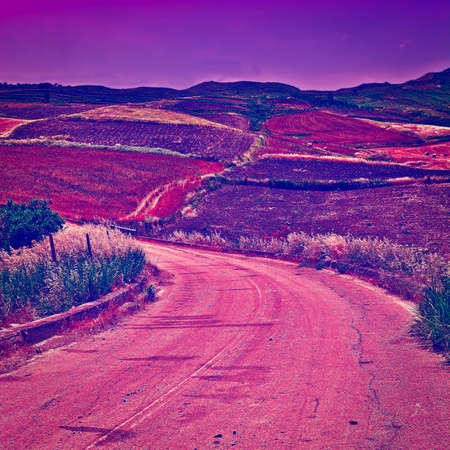 Winding Asphalt Road between Fields of Sicily at Sunset  の写真素材