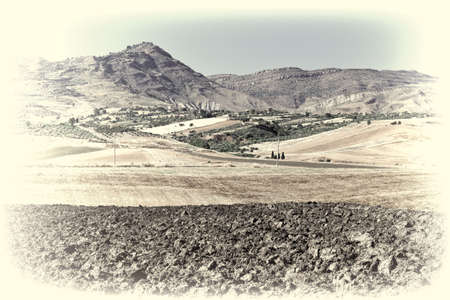 Olive Groves and Plowed Sloping Hills of Sicily in Spring, Retro Image Filtered Styleの写真素材