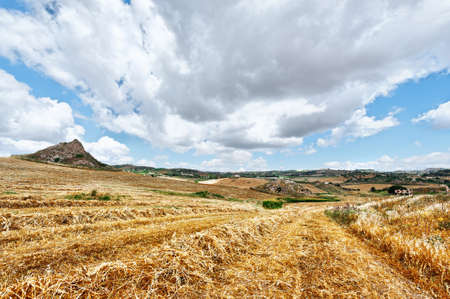 Mown Wheat Field on the Hill in Sicily, Italyの写真素材