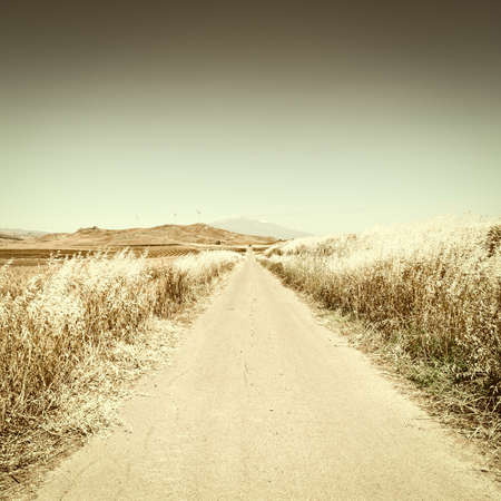 Asphalt Road between Wheat Fields leading to the Mount Etna in Sicily, Retro Image Filtered Styleの写真素材