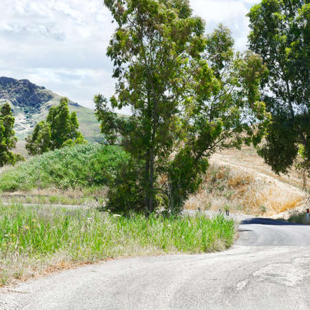 Old Broken Road between Spring  Fields of Sicilyの写真素材