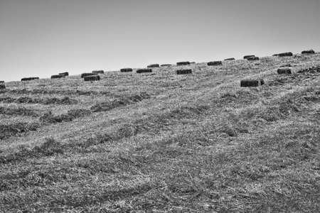Landscape of Sicily with Many Hay Briquettes, Retro Image Filtered Styleの写真素材