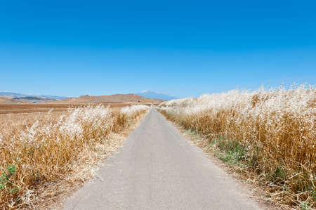 Asphalt Road between Wheat Fields leading to the Mount Etna in Sicilyの写真素材