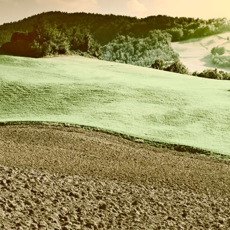 Plowed Sloping Hills of Tuscany at Sunset, Vintage Style Toned Pictureの写真素材