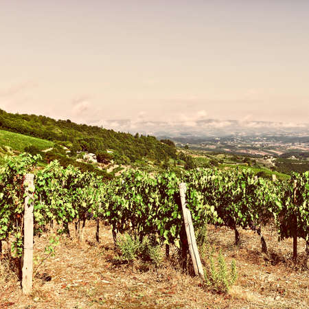 Tuscan Landscape with Vineyards at Sunset, Retro Image Filtered Styleの写真素材