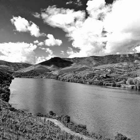 Vineyards in the Valley of the River Douro, Portugal, Retro Image Filtered Styleの写真素材