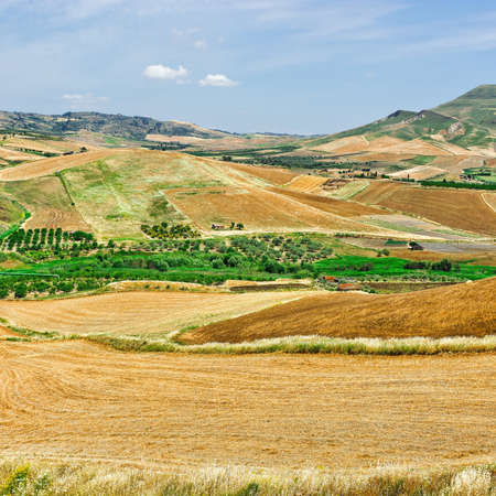 Stubble Fields on the Hills of Sicilyの写真素材