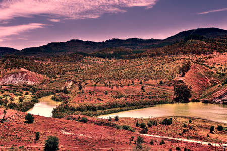 The Shore of a Mountain Lake Covered with Bushes in Sicily at Sunsetの写真素材
