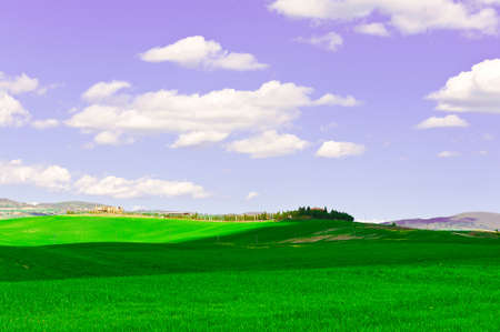 Green Sloping Meadows of Tuscanyの写真素材