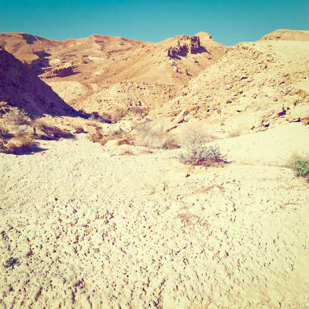 Stones of Grand Crater in Negev Desert