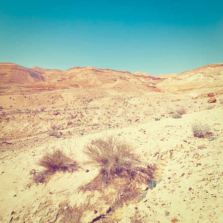 Rocky Hills of the Negev Desert in Israel, の写真素材