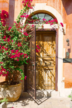 Door Decorated with Plant in Tel Avivの写真素材