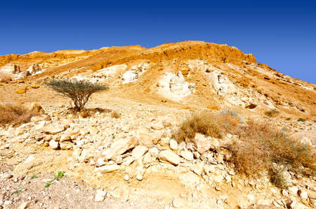Rocky Hills of the Negev Desert in Israel
