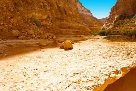Canyon En Avedat of the Negev Desert in Israelの写真素材