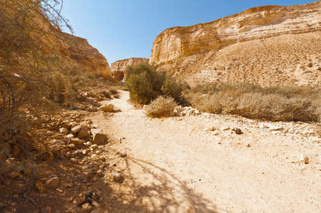 Canyon En Avedat of the Negev Desert in Israel