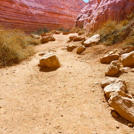 Canyon En Avedat of the Negev Desert in Israel