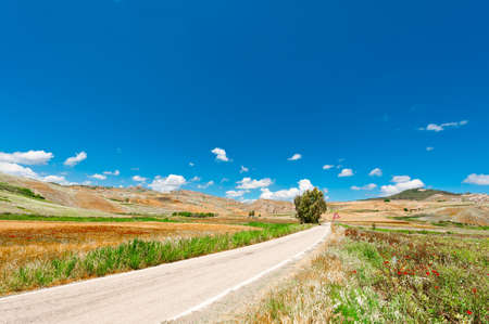 Winding Asphalt Road between Spring  Fields of Sicilyの写真素材
