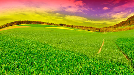 Track of Tractor on the Green Grass in Swiss Alps at Sunset
