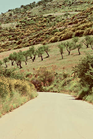 Winding Asphalt Road between Fields of Sicily, Vintage Style Toned Pictureの写真素材