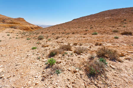 Rocky Hills of the Negev Desert in Israelの写真素材