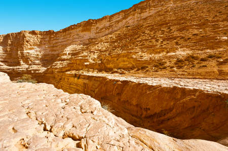 Canyon En Avedat of the Negev Desert in Israelの写真素材