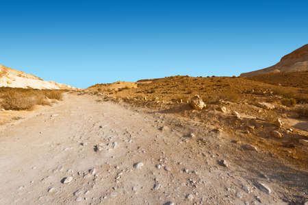 Rocky Hills of the Negev Desert in Israelの写真素材