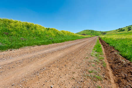 Dirt Road between Green Fields of the Golan Heights in Israelの写真素材