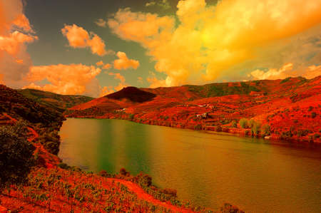 Vineyards in the Valley of the River Douro, Portugal, at Sunsetの写真素材
