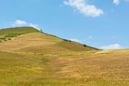 Wheat Fields on the Hills of Sicilyの写真素材