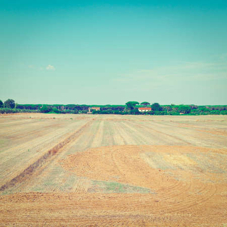 Field of Tuscany in the Autumnの写真素材