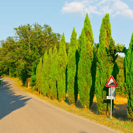 Winding Asphalt Road in Tuscanyの写真素材