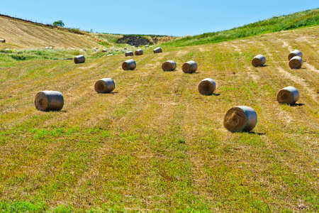 Landscape of Sicily with Many Hay Balesの写真素材