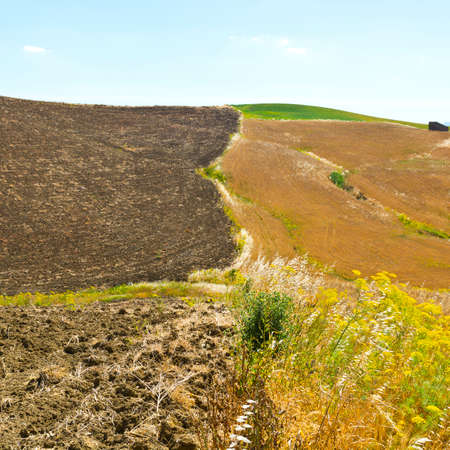 Harvested Plowed Fields on the Hills in Sicilyの写真素材