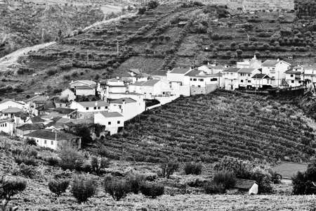 Village Surrounded by Vineyards on the Hills of Portugal, Stylized Photo