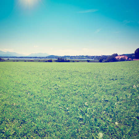 Meadow near Bavarian Lake Chiemsee