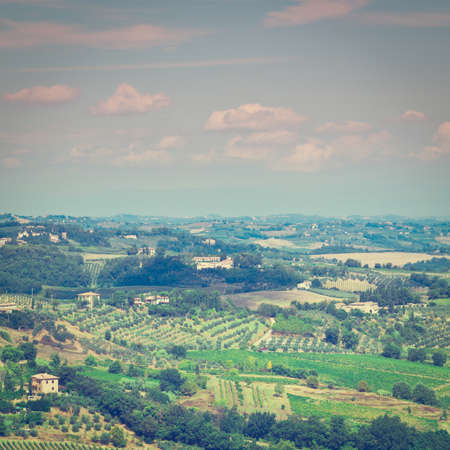Tuscan Landscape with Vineyards and Olive Grovesの写真素材