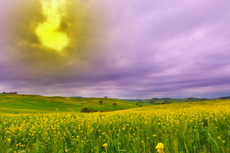 Green Fields in Italy at Sunsetの写真素材