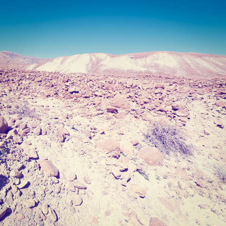 Stone Hills of the Negev Desert in Israelの写真素材