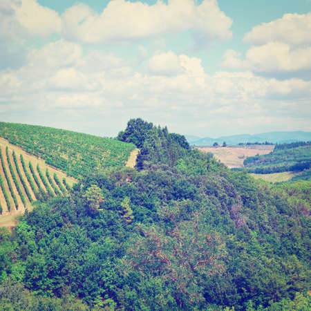 Hill of Tuscany with Vineyard in the Chianti Regionの写真素材