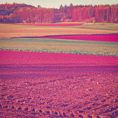 Plowed Fields on the Background of the Spring Forest in Switzerlandの写真素材