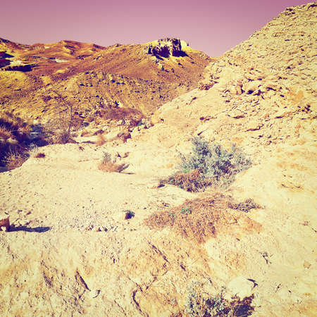 Judean Desert on the West Bank of the Jordan River in Israel at Sunsetの写真素材