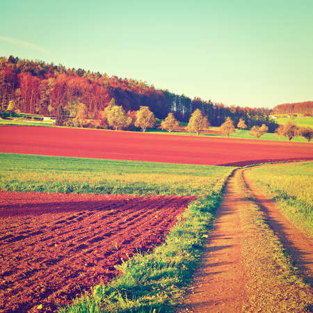 The Swiss Farmhouse Surrounded by Forests and Plowed Fieldsの写真素材
