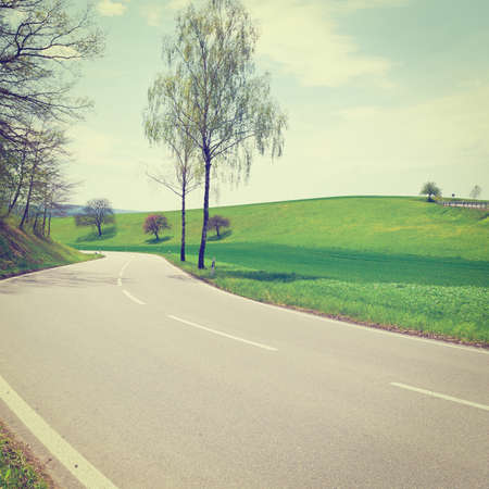 Asphalt Road between Fields  in the Swiss Alpsの写真素材