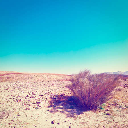 Big Stones of Grand Crater in Negev Desert, Israel,の写真素材