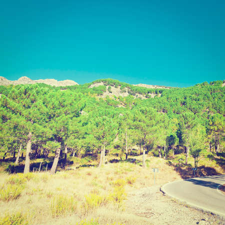 Winding Asphalt Road in the Cantabrian Mountains, Spain,の写真素材