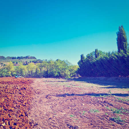 Tractor Plowing Field on a Background of Vineyards in Tuscany, Italy,の写真素材