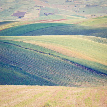 Stubble Fields on the Hills of Sicily